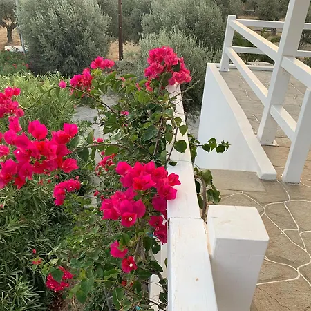 Thalassa - Vathy Sifnos Island